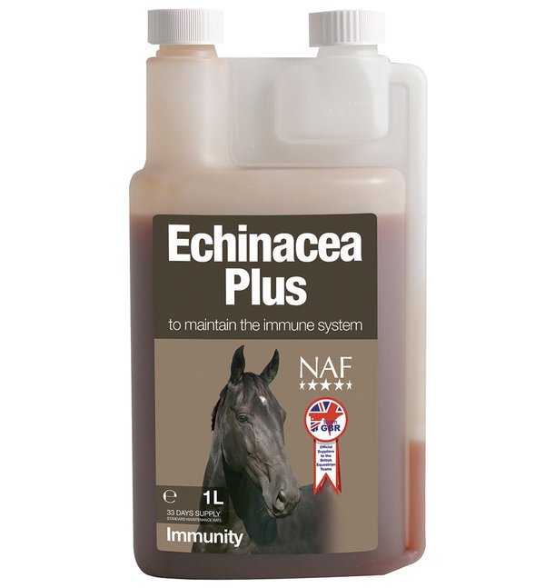 NAF Echinacea Plus - für ein starkes Immunsystem